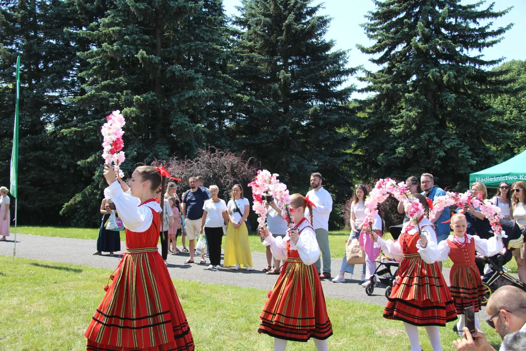 "Majówka w ogrodzie" - Ogród Botaniczny w Łodzi zaprasza na piknik rodzinny