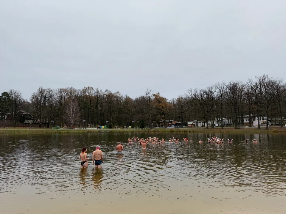 Morsy w Arturówku — Łódź, 24.11.2024 r.