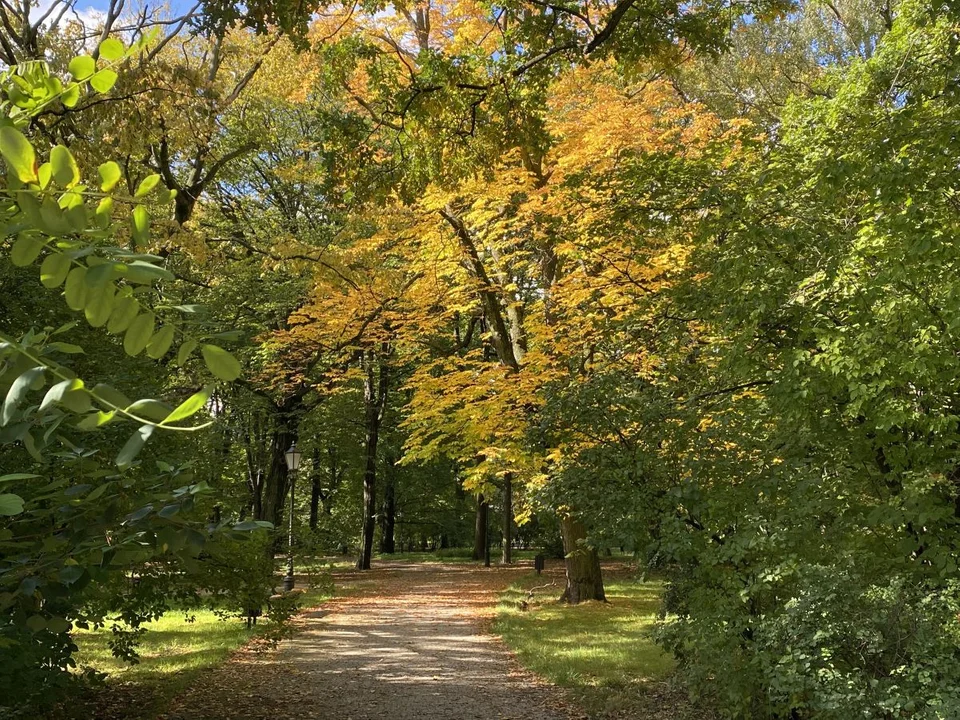 Park Źródliska jesienią