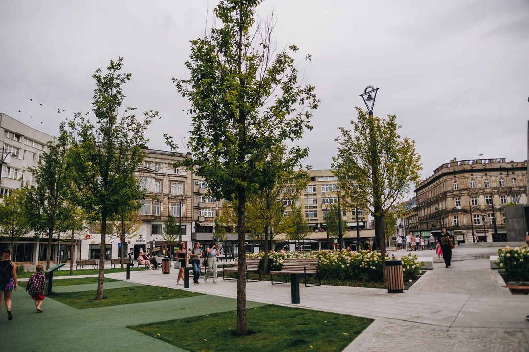 Plac Wolności w Łodzi z I miejscem w konkursie Towarzystwa Urbanistów Polskich