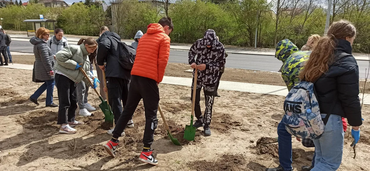 Sadzenie drzewek w Zgierzu