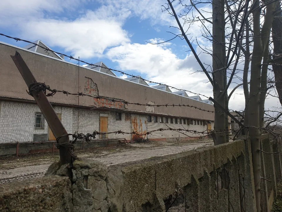 "Dam pracę" napis na dawnych zakładach Morfeo w Ozorkowie. Dziś już nikt tu nie przyjdzie do pracy... [galeria]