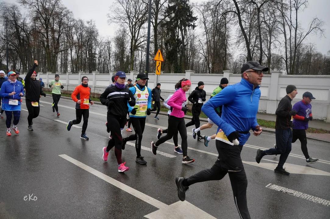 XI Pabianicki Półmaraton