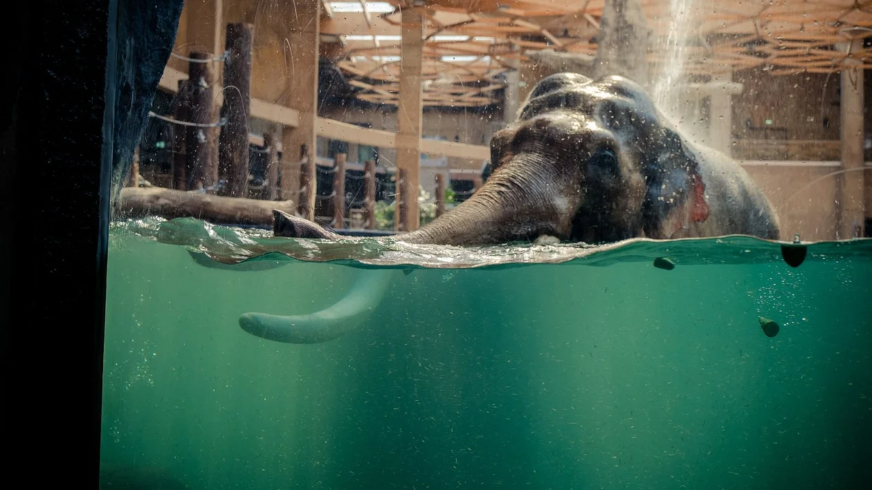 Orientarium ZOO Łódź