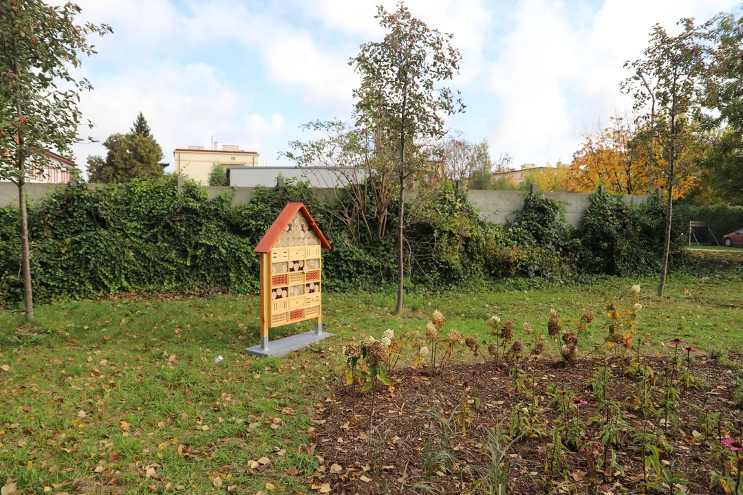 W centrum Kutna powstaje mały park rekreacyjn-wypoczynkowy