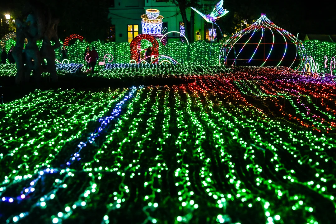 Park Miliona Świateł znów dostępny dla odwiedzających