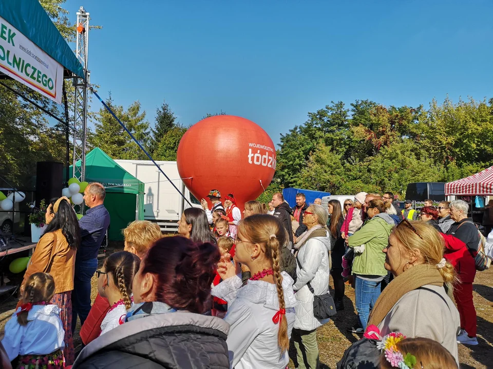 Łodzianie i mieszkańcy okolic na ryneczku marszałkowskim przy Drewnowskiej w Łodzi