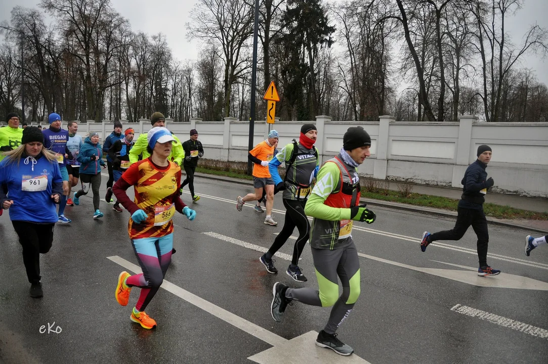 XI Pabianicki Półmaraton