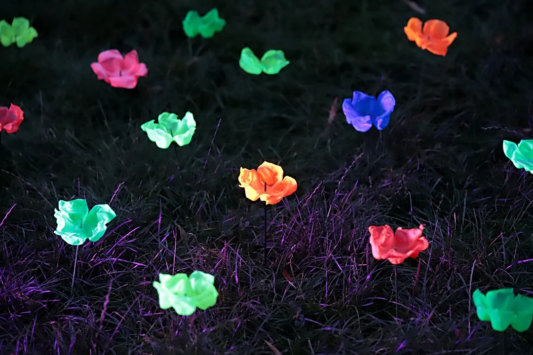 Light Move Festival 2025 – muzyczny drugi dzień