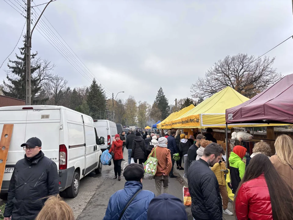 Korki w okolicach cmentarza na Dołach