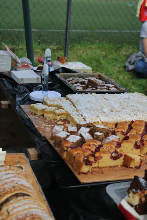 Bieg dla Marcelinki na Stawach Jana w Łodzi