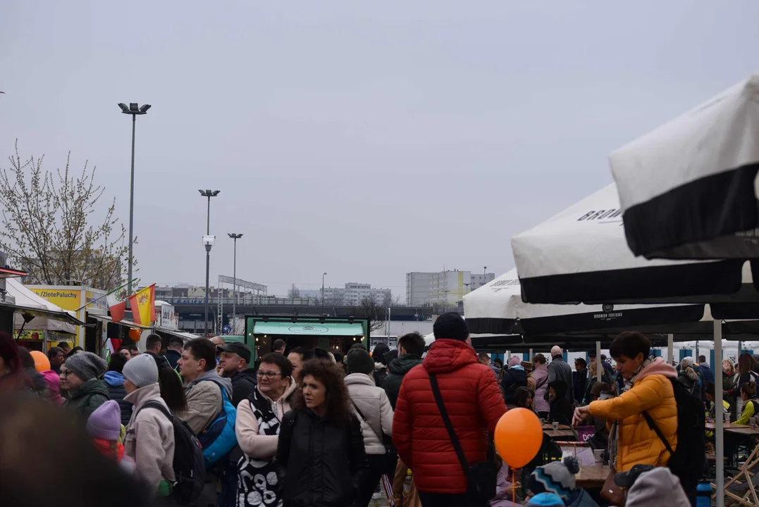 DOZ Maraton to nie tylko bieg. Mnóstwo atrakcji dla najmłodszych na Pikniku DOZ [galeria]