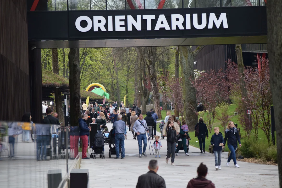 To już rok. Orientarium ZOO Łódź obchodzi urodziny. Impreza będzie trwać kilka dni! [ZDJĘCIA] - Zdjęcie główne