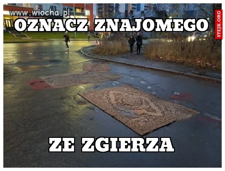 Memy Zgierz