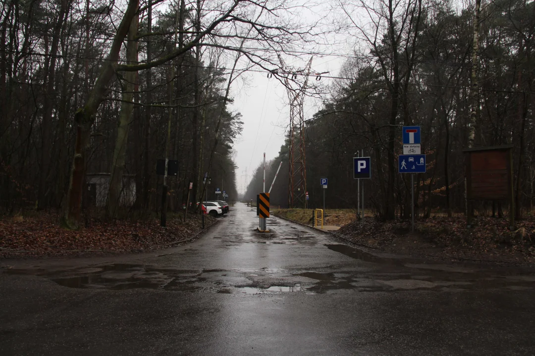 Parking leśny w Arturówku