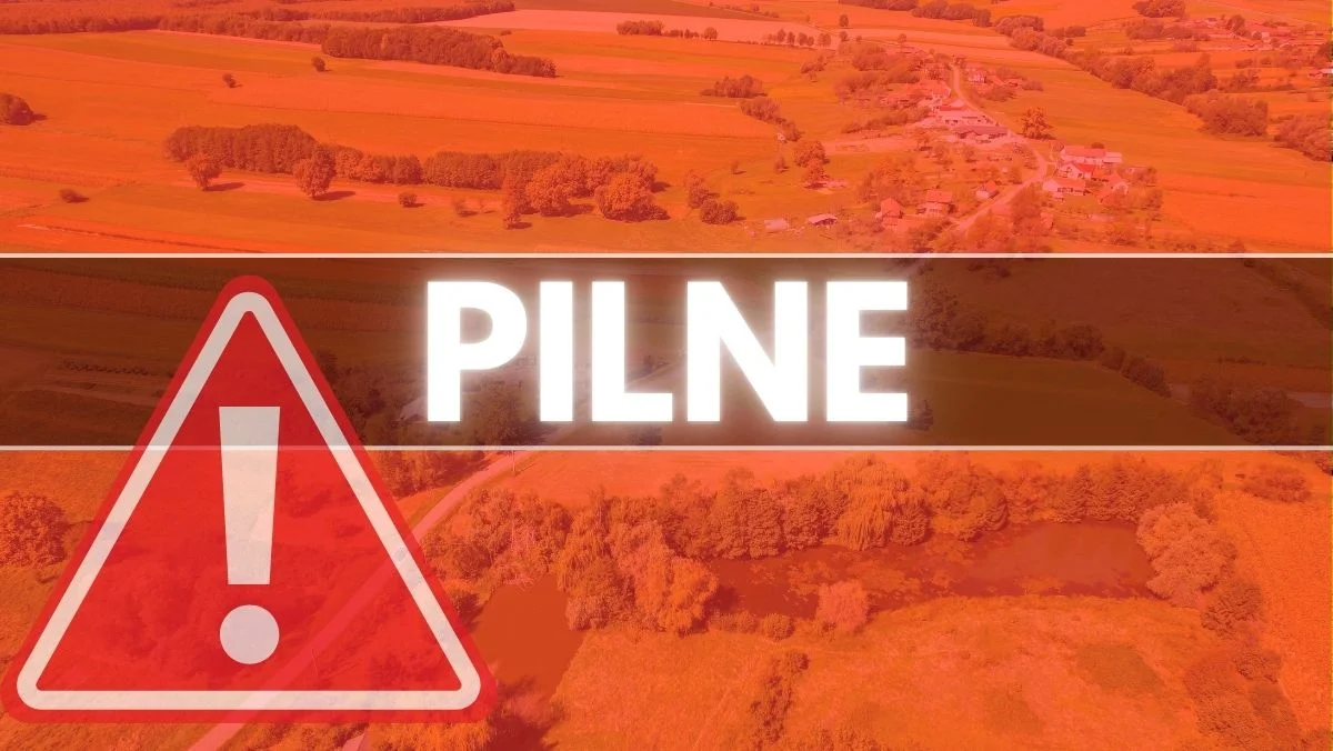 Obszar zagrożony w woj. łódzkim coraz większy. Wprowadzono zakazy targów i wystaw