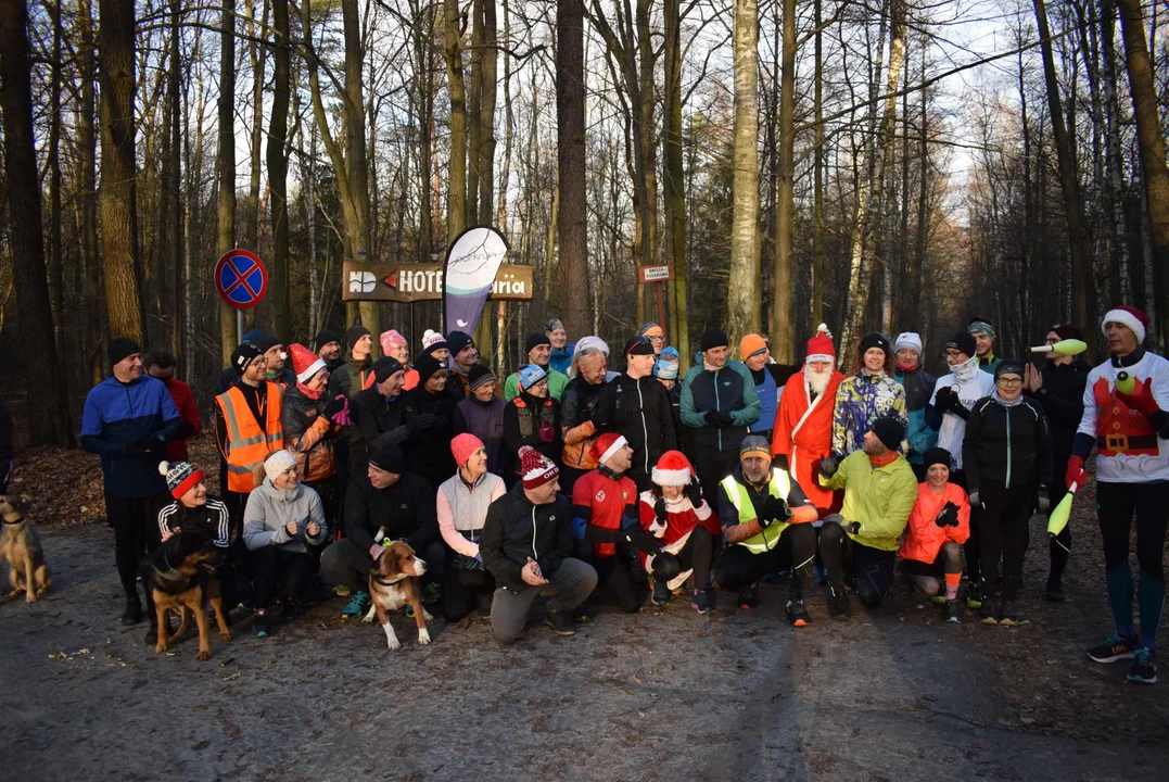 Parkrun w Lesie Łagiewnickim