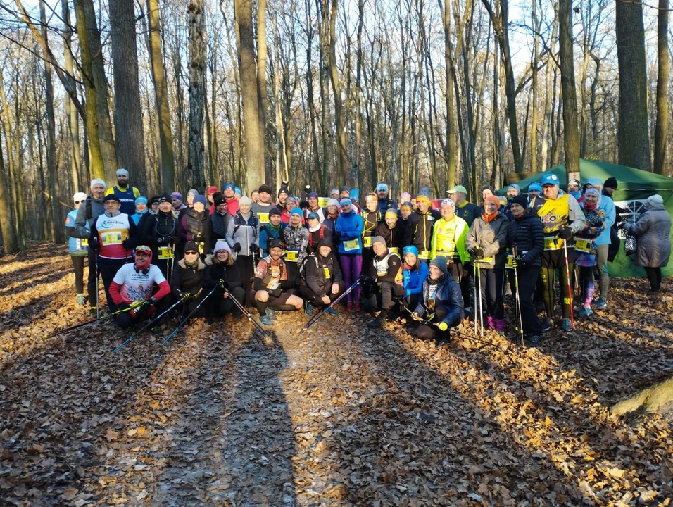 19. Towarzyski Maraton Leśnym Szlakiem w lesie łagiewnickim. Zobacz, jak radzili sobie zawodnicy [galeria] - Zdjęcie główne