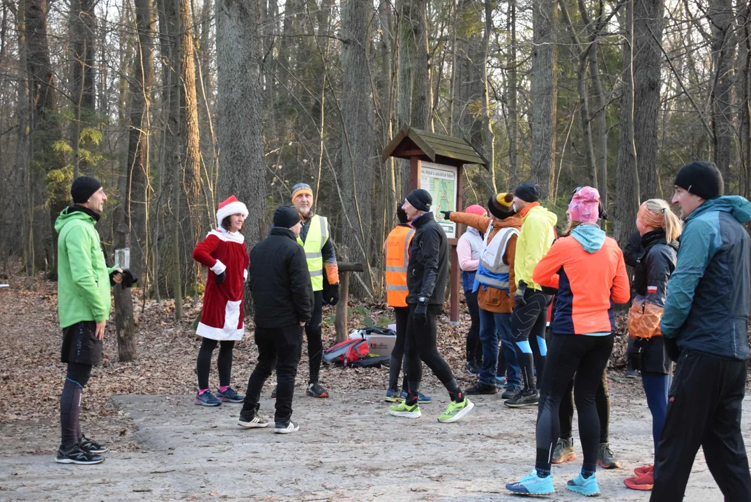 Parkrun w Lesie Łagiewnickim