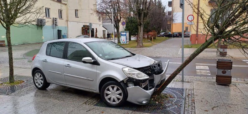 Wypadł z drogi i uderzył w drzewo. Kierowca zniknął, a na miejscu zostawił mamę - Zdjęcie główne