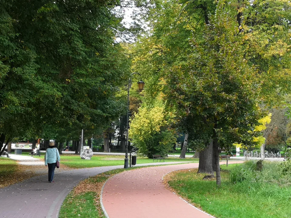 Pierwsze oznaki jesieni w zgierskim parku - zobacz zdjęcia!