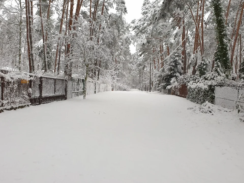 Śnieżna galeria ze Zgierza i Sokolnik-Lasu