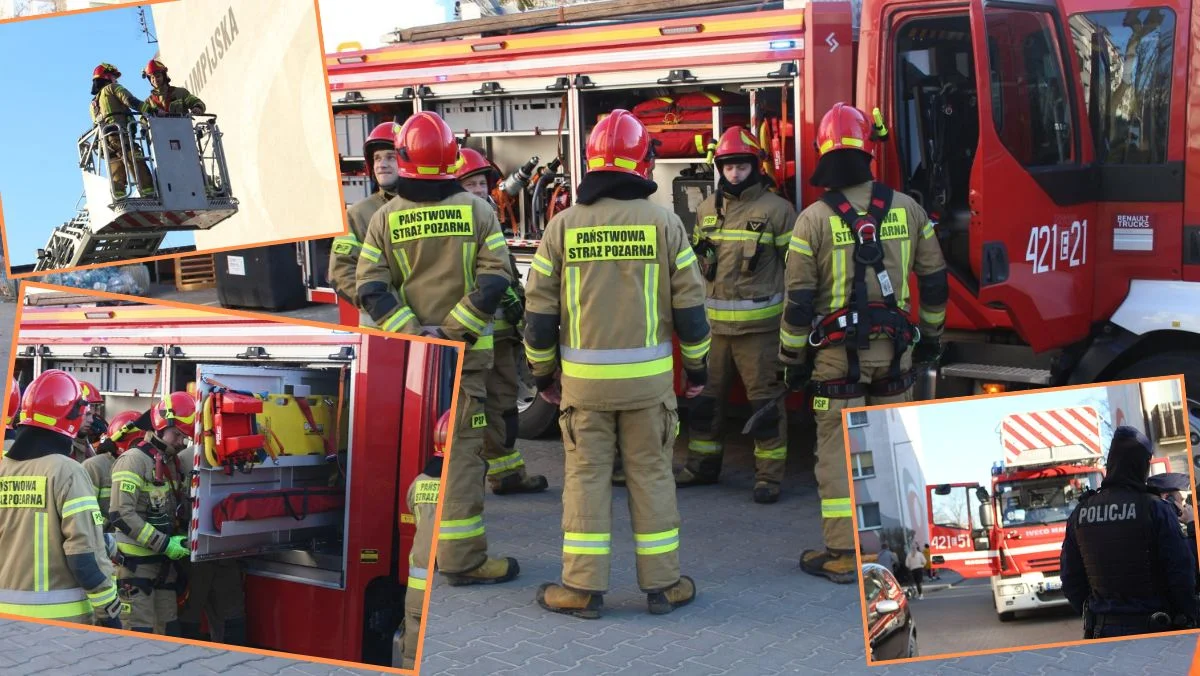 Rzadki gatunek zwierząt na osiedlu. Interwencja policji i straży pożarnej [ZDJĘCIA] - Zdjęcie główne