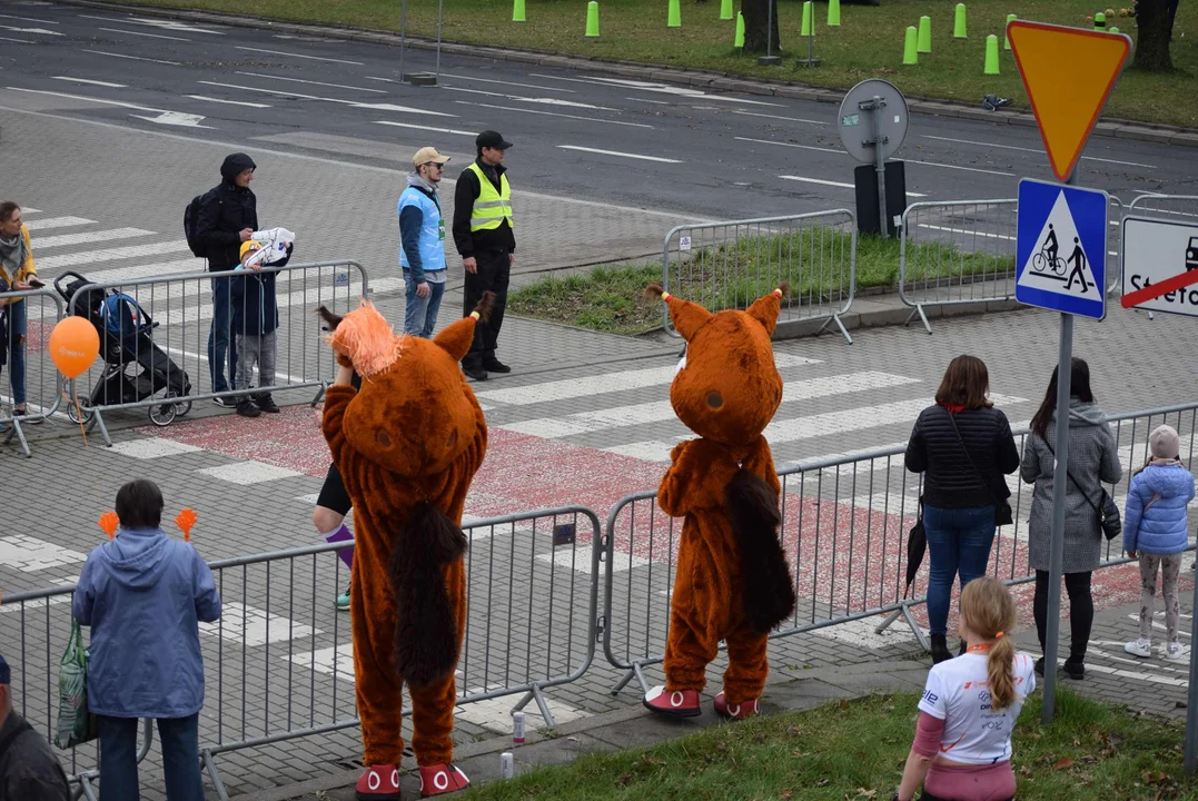 DOZ Maraton ulicami miasta. Zobacz zdjęcia z biegu głównego