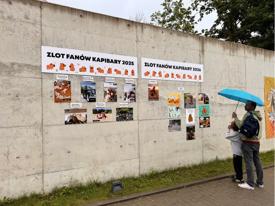 II Zlot Fanów Kapibary