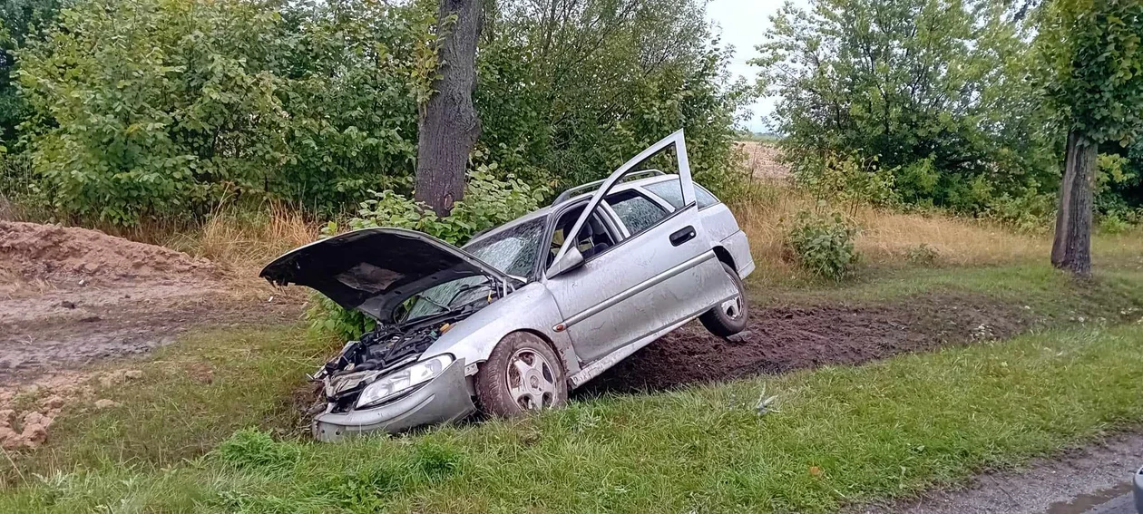 Stracił panowanie nad autem i uderzył w drzewo. Był pijany [ZDJĘCIA] - Zdjęcie główne