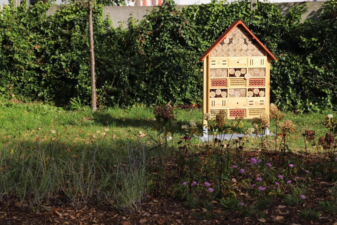 W centrum Kutna powstaje mały park rekreacyjn-wypoczynkowy