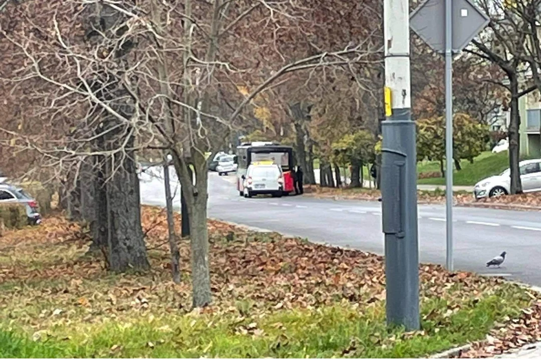 Zgierskie autobusy nie przejeżdżają lub stoją popsute na przystankach.