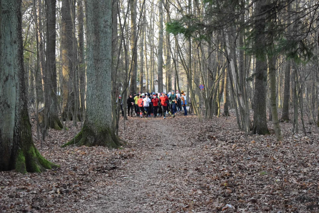 Parkrun w Lesie Łagiewnickim