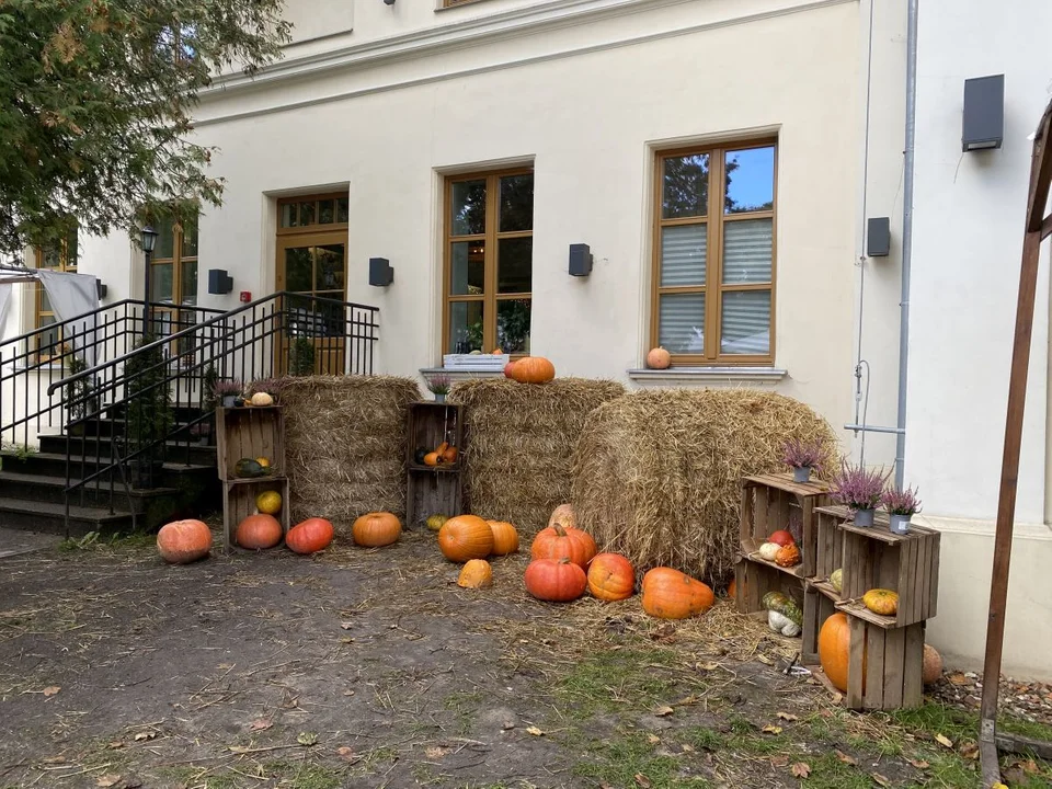 Park Źródliska jesienią