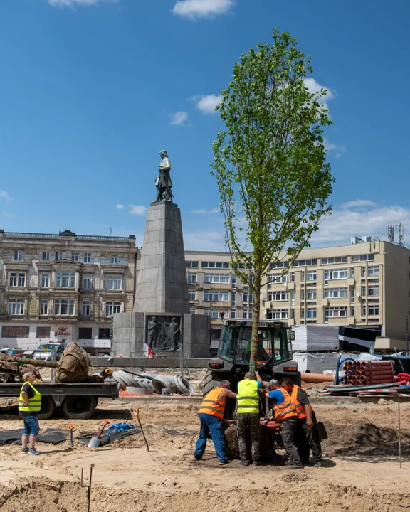 Trwa przedbudowa łódzkiego pl. Wolności. Pojawiły się już na nim pierwsze drzewa