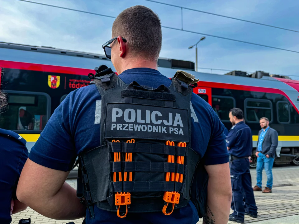 Mundurowi z psami na kolei w Łodzi. Oprócz funkcjonariuszy SOK była również policja [FOTO] - Zdjęcie główne