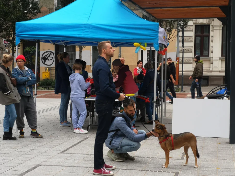 Moc atrakcji dla całej rodziny na pikniku na Włókienniczej