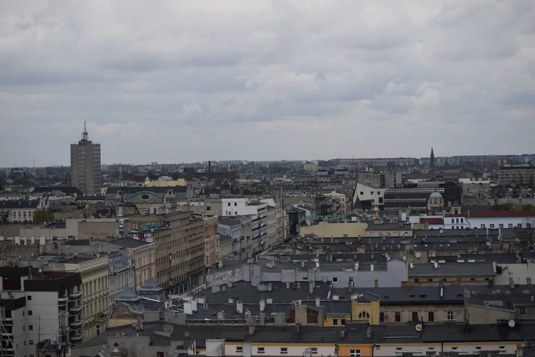 Panorama miasta widziana z wieżowca Red Tower