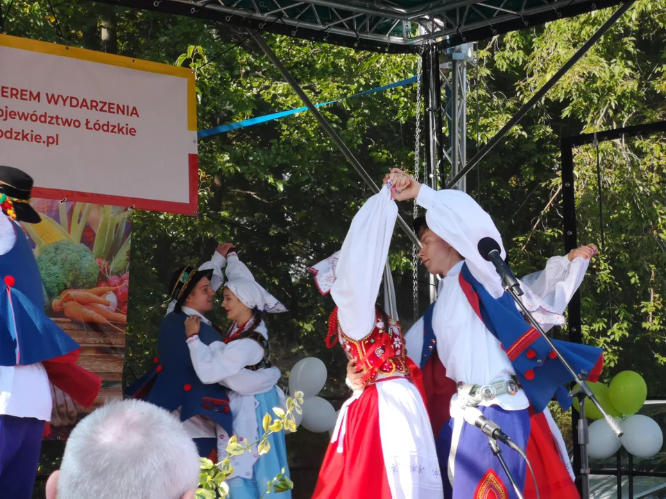 Łodzianie i mieszkańcy okolic na ryneczku marszałkowskim przy Drewnowskiej w Łodzi