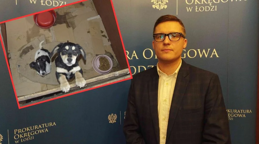 Dla tych zwierząt to było piekło. Ustalenia prokuratury są szokujące - Zdjęcie główne