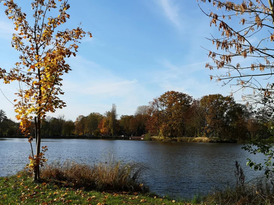 Zgierzanie korzystają z pięknej jesiennej pogody