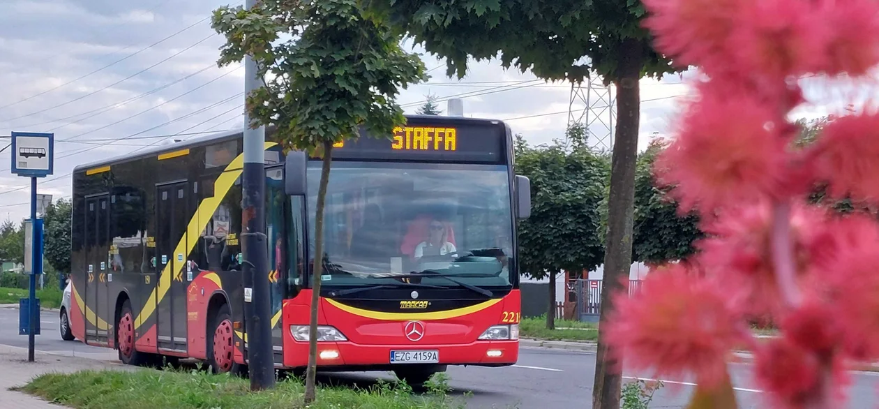 Zwycięzcy konkursu "Autobus fajny jest"