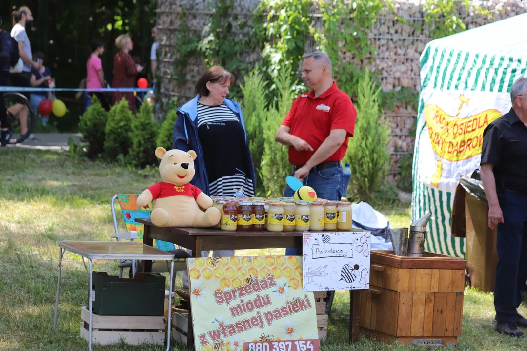 Piknik rodzinny z okazji dnia dziecka na Młynku w Łodzi