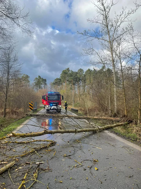 Wichura w Łódzkiem
