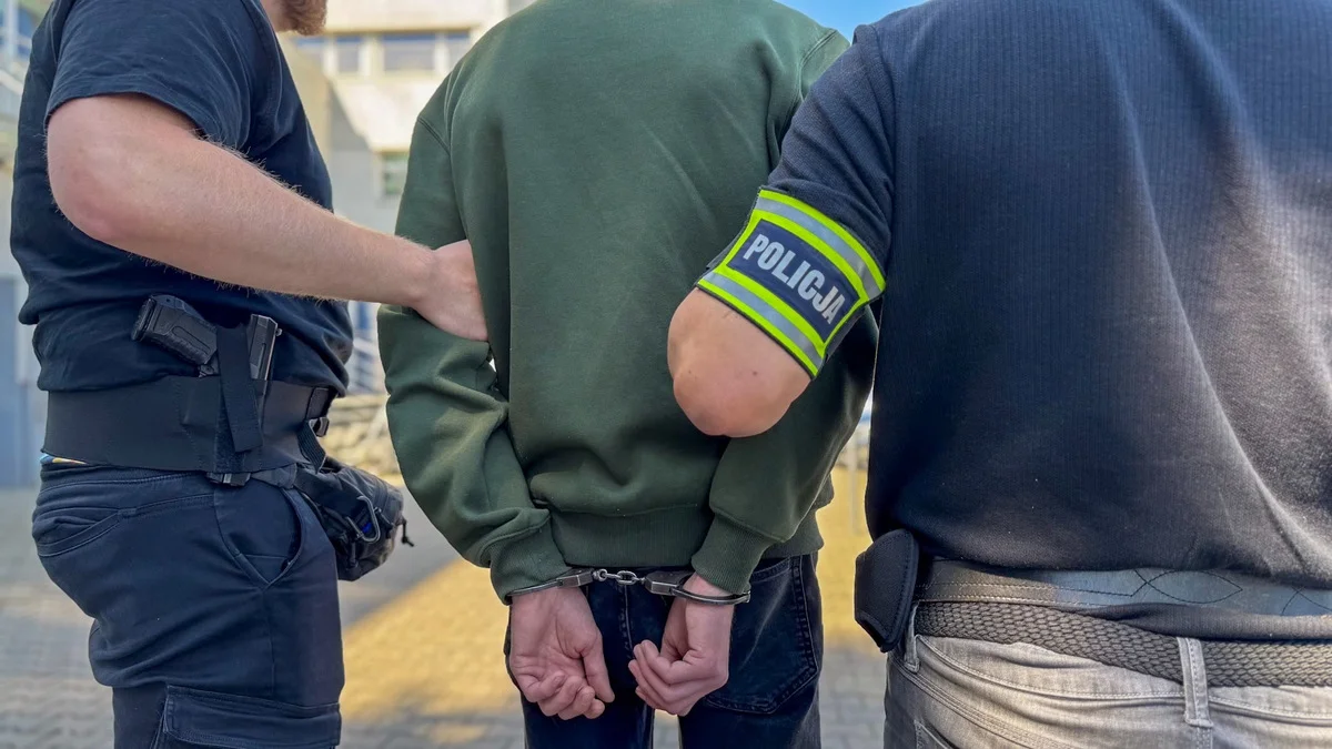Łódzkie: Fałszowali legitymacje i wyłudzali pieniądze, podszywając się pod szkoły