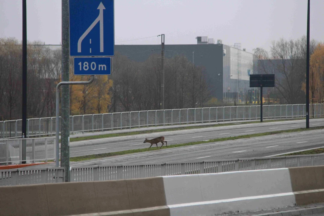 Nowy odcinek Trasy Górnej w Łodzi gotowy