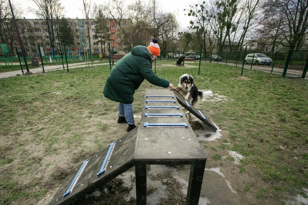 Psi Park na Bałutach