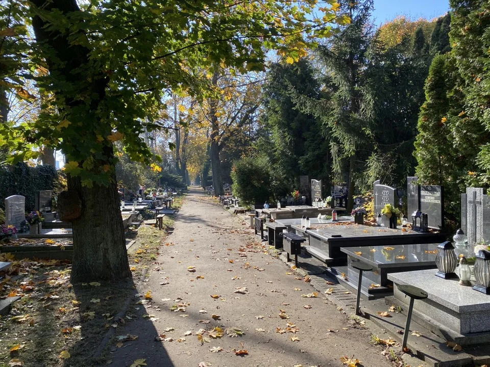 Grób Sylwii Kurzeli w Alei Zasłużonych cmentarza na Dołach