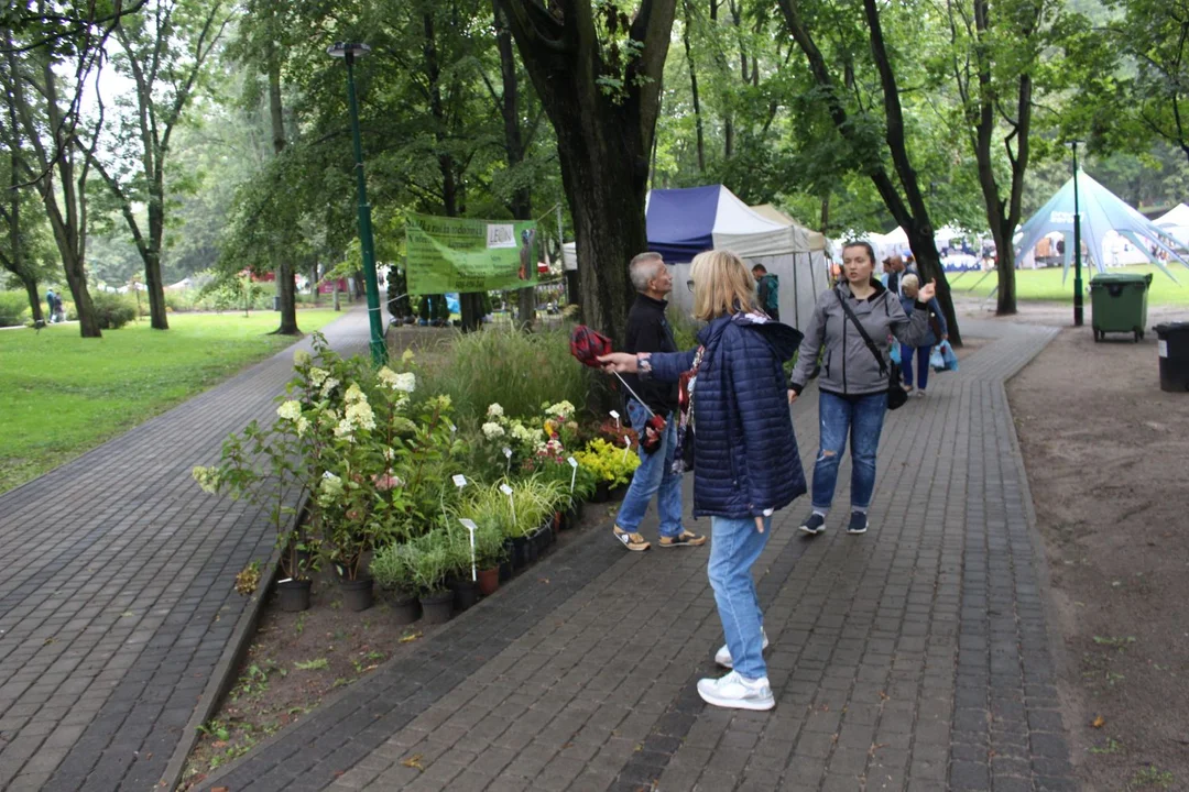 Trwa Święto Róży. Sporo osób odwiedza park Traugutta