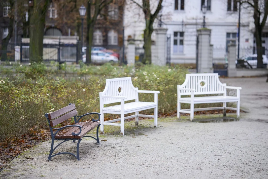 Park Sienkiewicza po liftingu